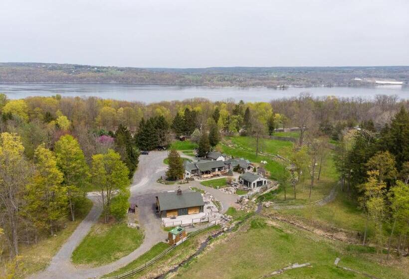 هتل New Park Venue & Suites