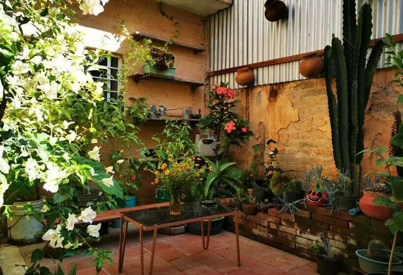 پانسیون Casa Donaji