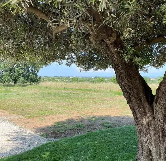 Alta Area