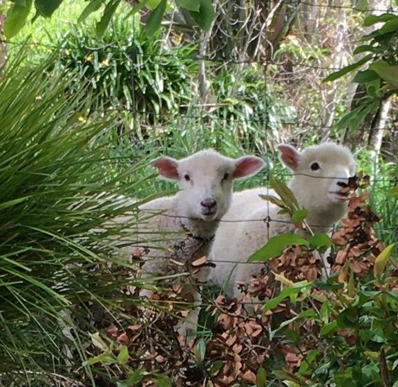 ベッドアンドブレックファースト The Terrace