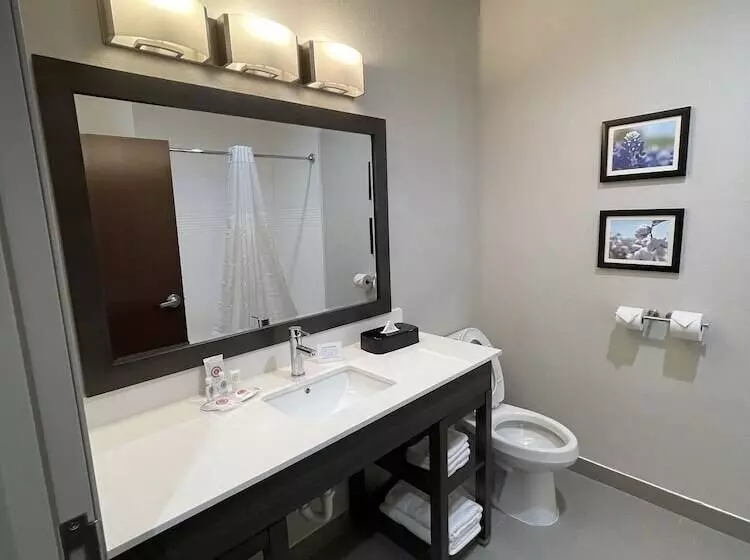 Hotelli Comfort Inn & Suites Balch Springs  Se Dallas