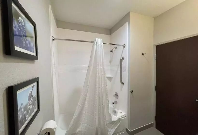 Hotelli Comfort Inn & Suites Balch Springs  Se Dallas