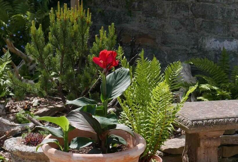 ベッドアンドブレックファースト The Potting Shed, Self Contained, Detached Retreat In Shapwick Village
