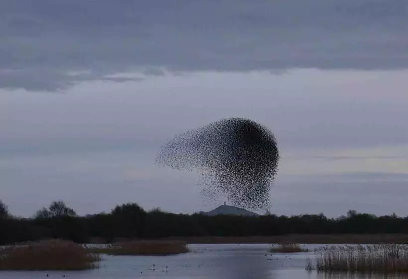 ベッドアンドブレックファースト The Potting Shed, Self Contained, Detached Retreat In Shapwick Village