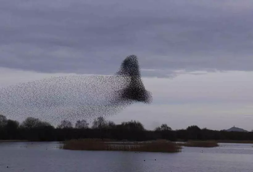 ベッドアンドブレックファースト The Potting Shed, Self Contained, Detached Retreat In Shapwick Village