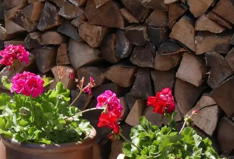 ベッドアンドブレックファースト The Potting Shed, Self Contained, Detached Retreat In Shapwick Village