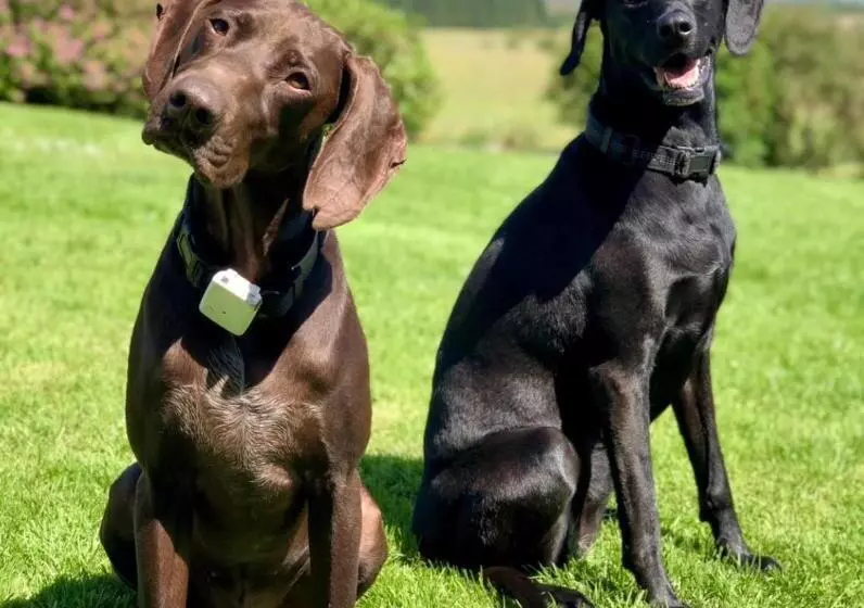 ベッドアンドブレックファースト Trossachs Barn & Cabin