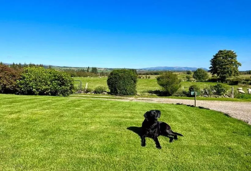 ベッドアンドブレックファースト Trossachs Barn & Cabin