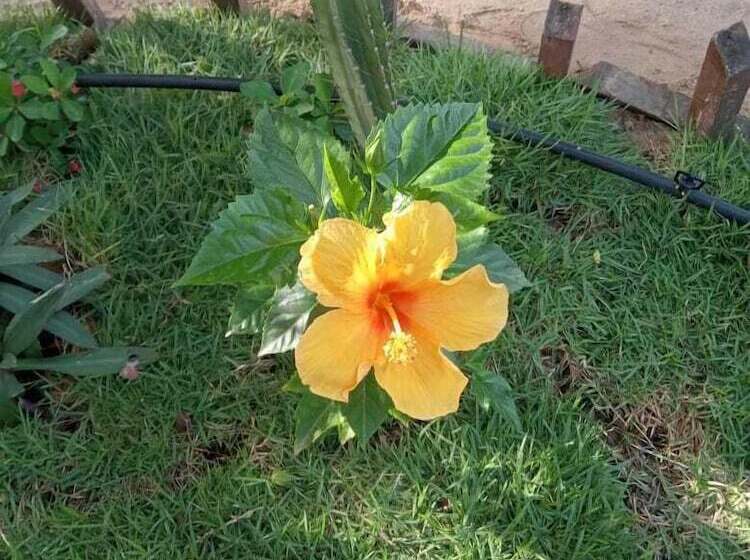 Отель Portadosoljeri