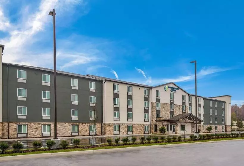 ホテル Woodspring Suites Tampa Airport North Veterans Expressway