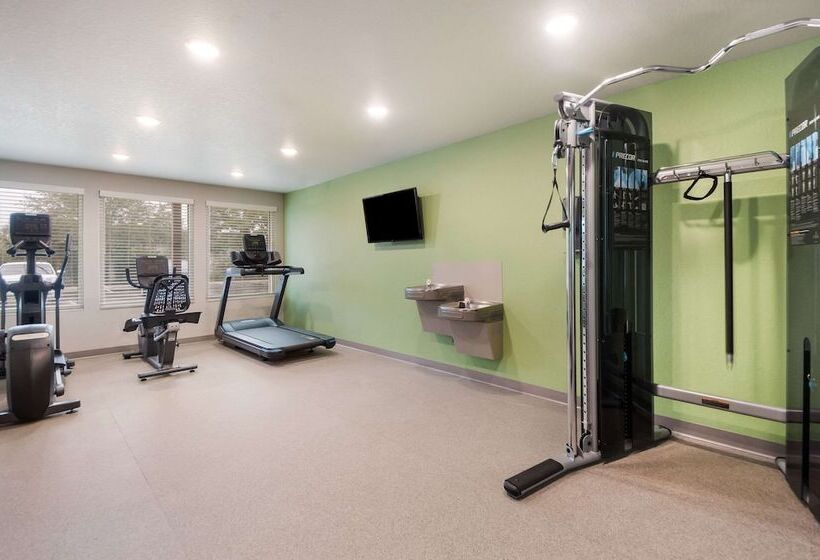 فندق Woodspring Suites Tampa Airport North Veterans Expressway