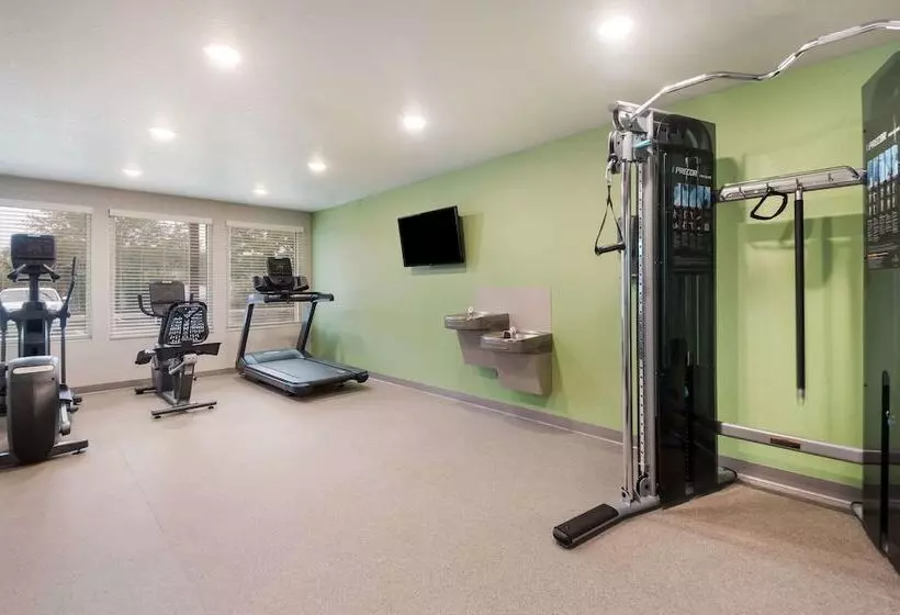 ホテル Woodspring Suites Tampa Airport North Veterans Expressway