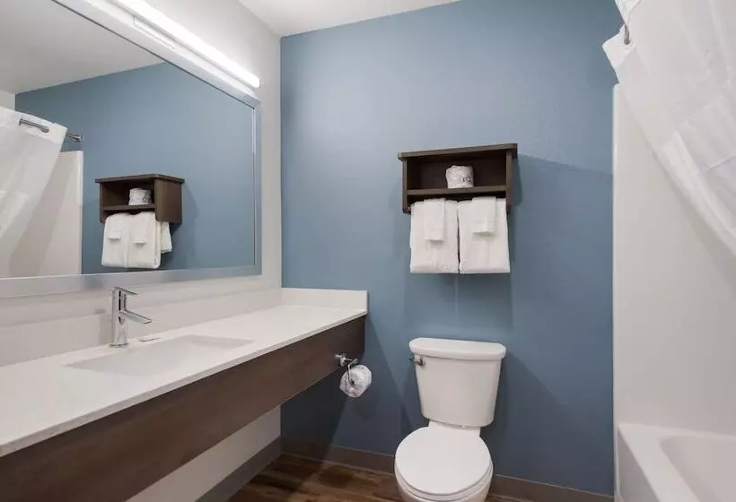 ホテル Woodspring Suites Tampa Airport North Veterans Expressway