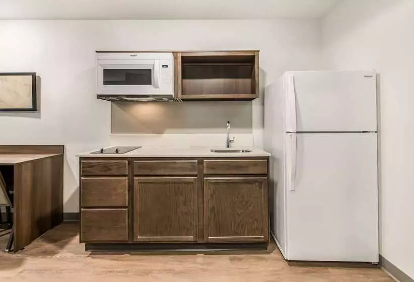 ホテル Woodspring Suites Tampa Airport North Veterans Expressway