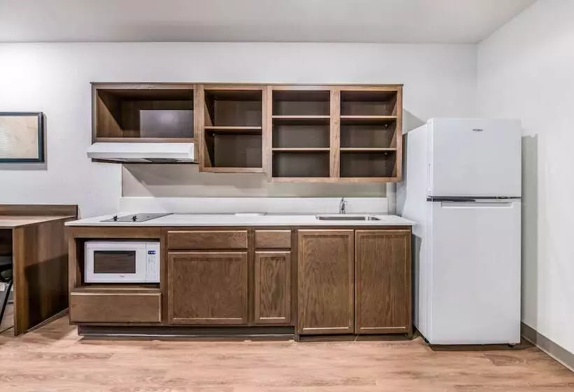 ホテル Woodspring Suites Tampa Airport North Veterans Expressway