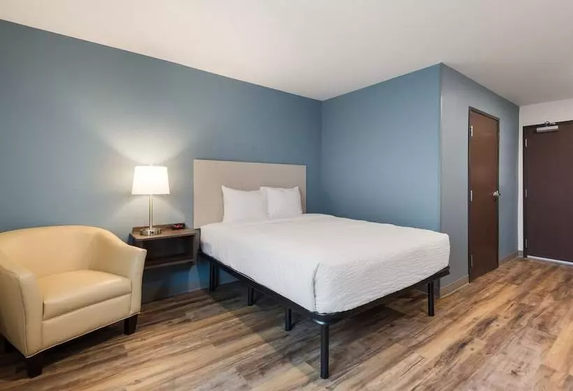 ホテル Woodspring Suites Tampa Airport North Veterans Expressway