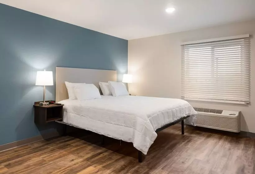 ホテル Woodspring Suites Tampa Airport North Veterans Expressway