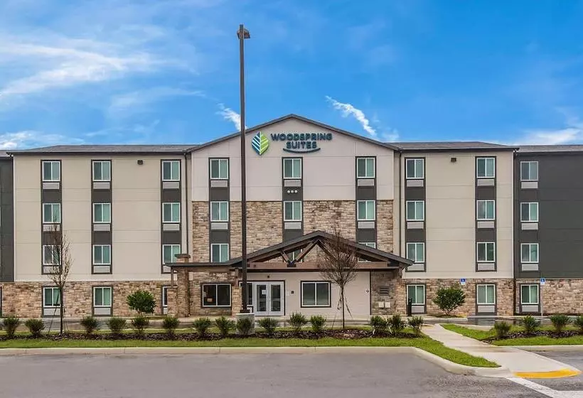 ホテル Woodspring Suites Tampa Airport North Veterans Expressway