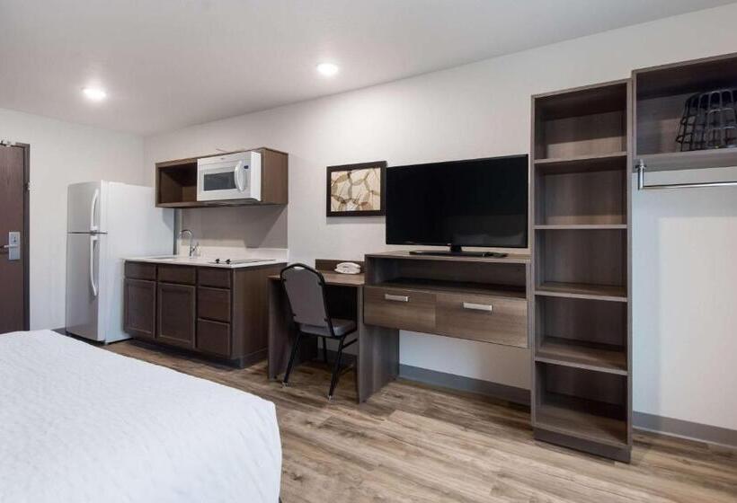 فندق Woodspring Suites Tampa Airport North Veterans Expressway