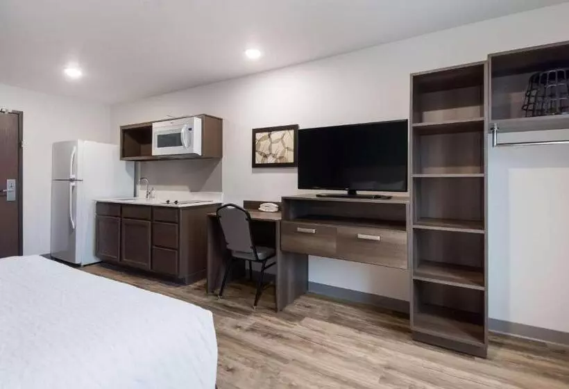 ホテル Woodspring Suites Tampa Airport North Veterans Expressway