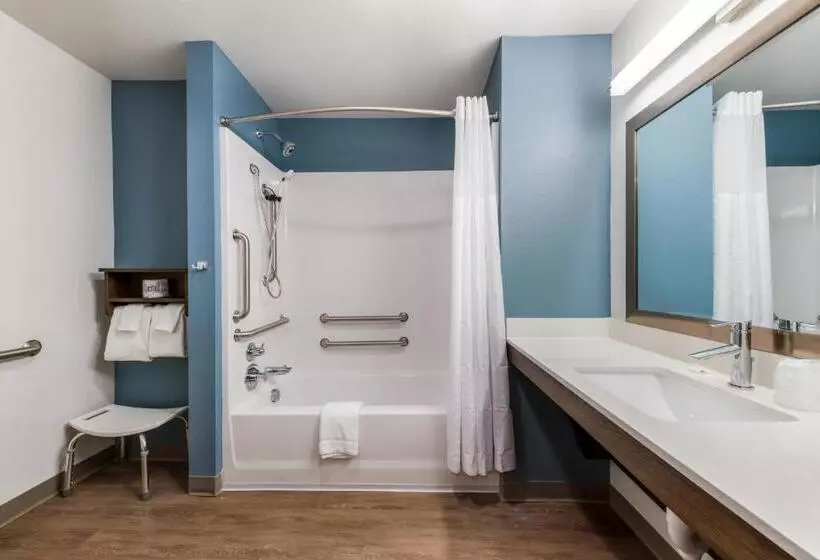 ホテル Woodspring Suites Tampa Airport North Veterans Expressway