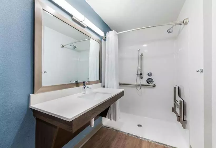 ホテル Woodspring Suites Tampa Airport North Veterans Expressway