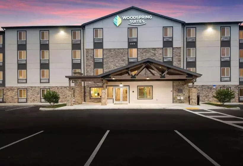 ホテル Woodspring Suites Tampa Airport North Veterans Expressway
