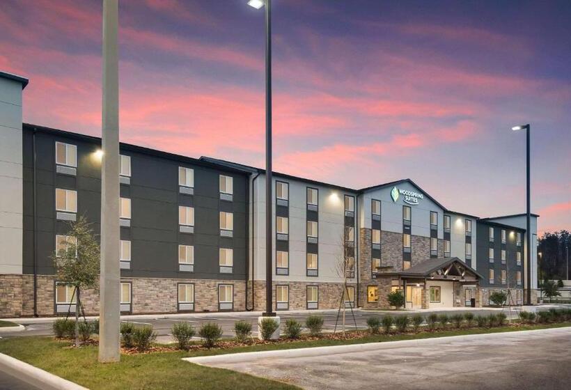 فندق Woodspring Suites Tampa Airport North Veterans Expressway