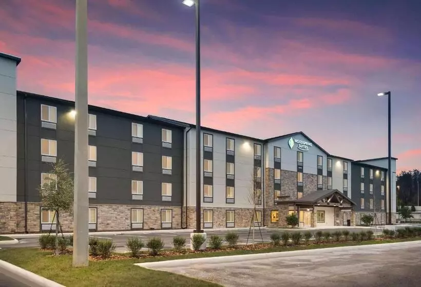 ホテル Woodspring Suites Tampa Airport North Veterans Expressway