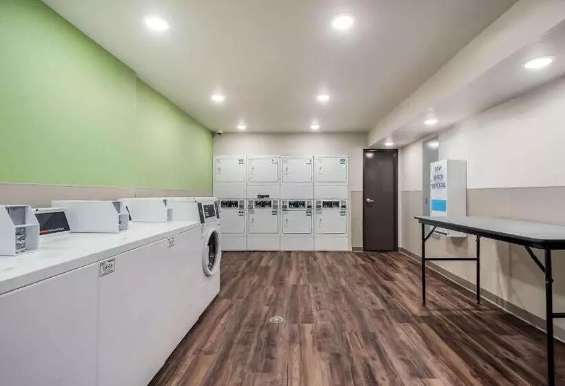 ホテル Woodspring Suites Tampa Airport North Veterans Expressway