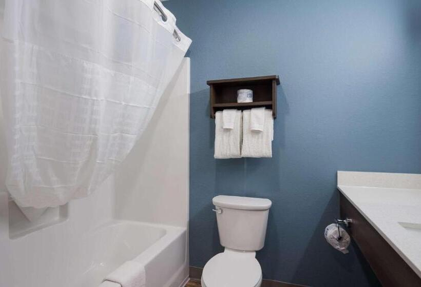 فندق Woodspring Suites Tampa Airport North Veterans Expressway