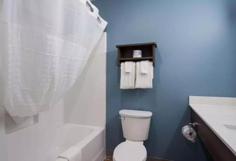 ホテル Woodspring Suites Tampa Airport North Veterans Expressway