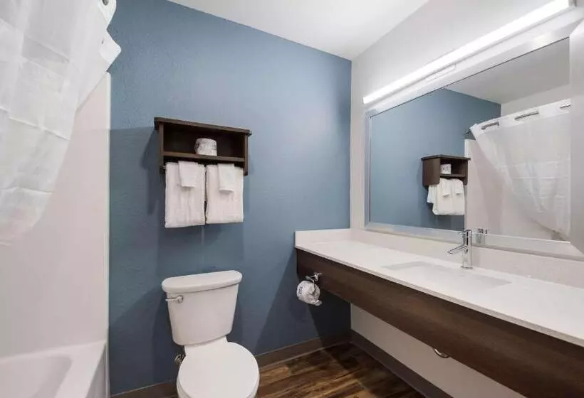 ホテル Woodspring Suites Tampa Airport North Veterans Expressway