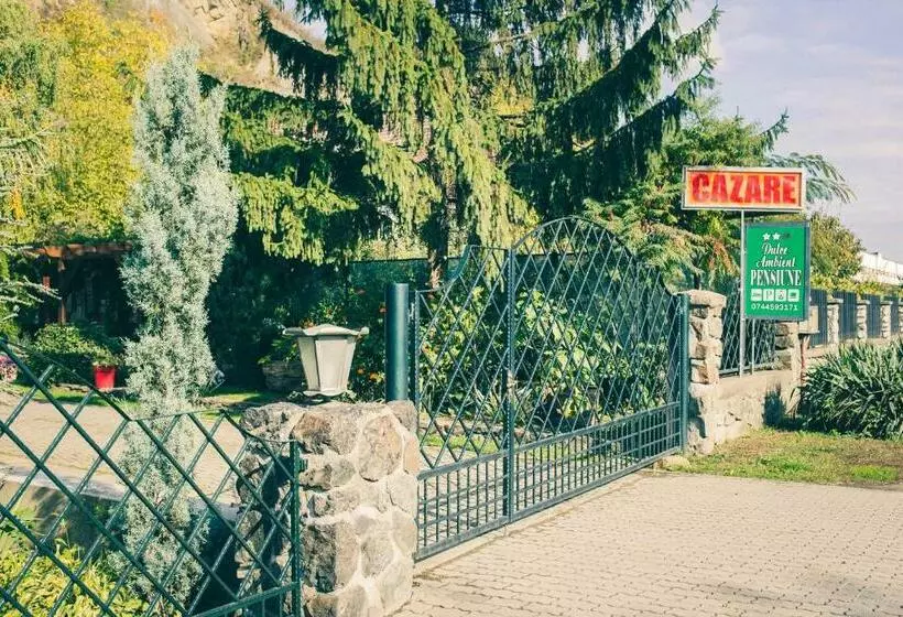 Pensiunea Dulce Ambient