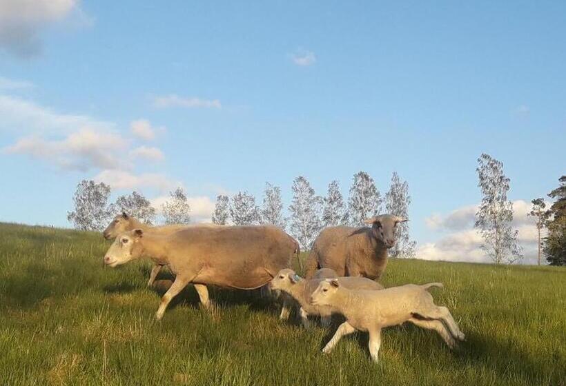 ベッドアンドブレックファースト Brösarp Källagården Vindsvåning 2 Rum Och Kök