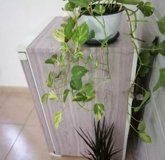 Aamiaismajoitus (B&B) Room&relax