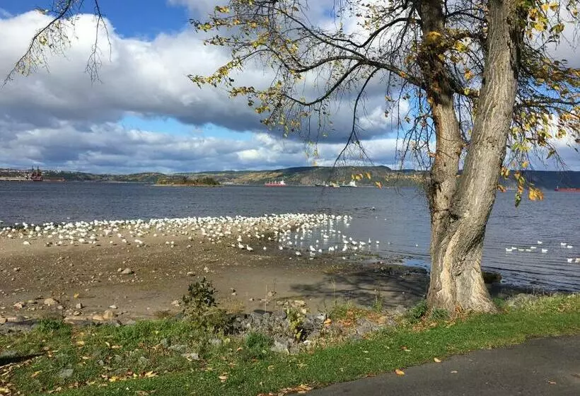 Hotelli Auberge Le St Alexis