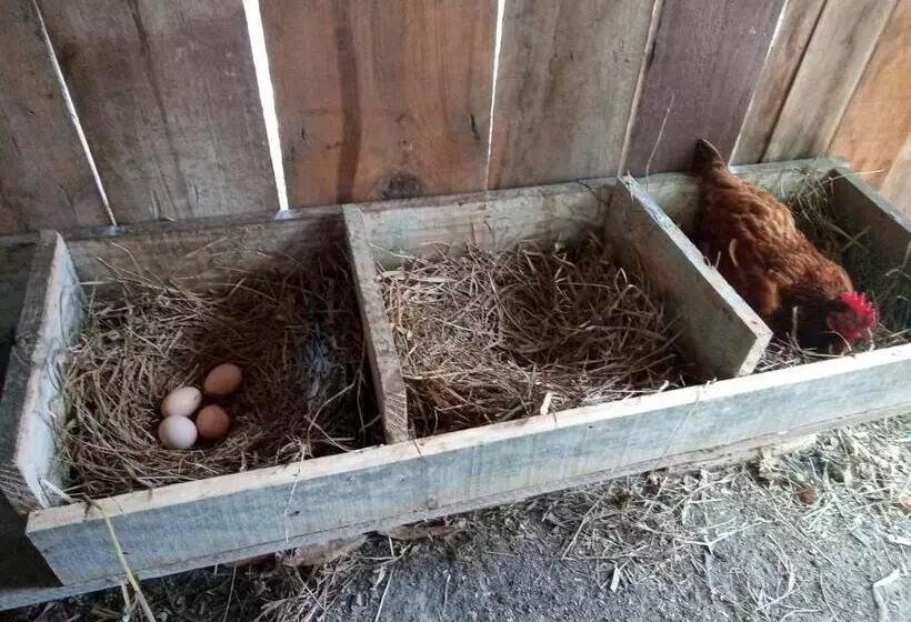 Majatalo Sítio Vô Inácio   Casa Inteira
