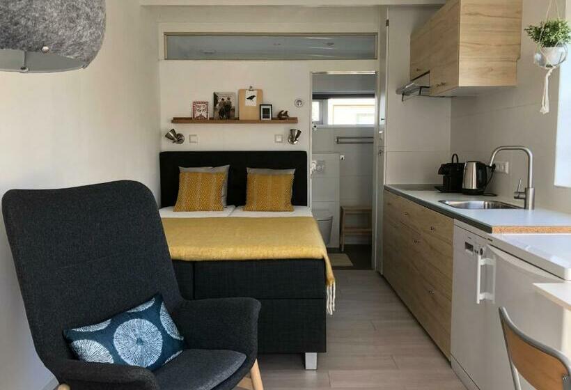 住宿加早餐 De Zwarte Ruiter