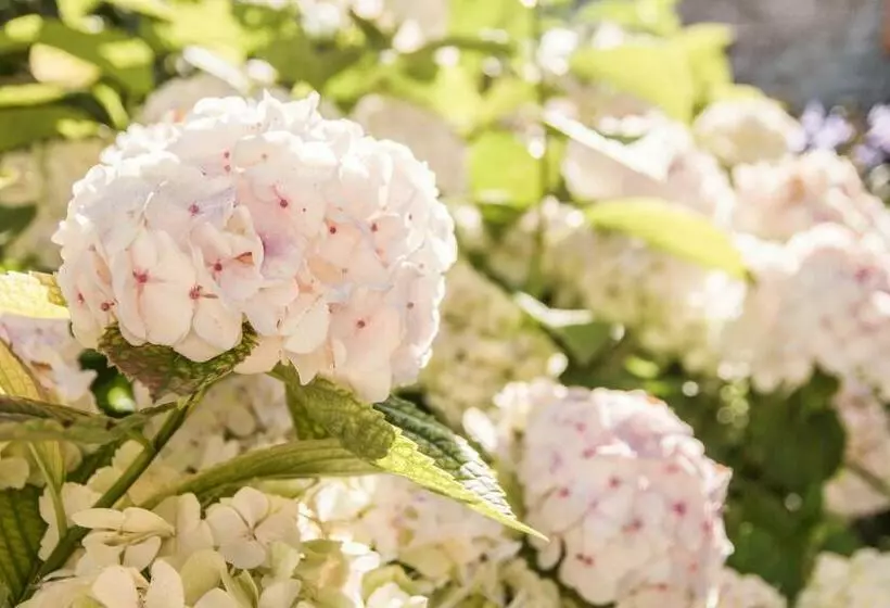 Aamiaismajoitus (B&B) Gastenkamer Klein Geluk