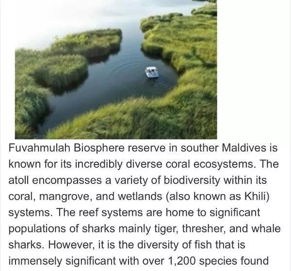 پانسیون Hedheykuri Residence Fuvahmulah