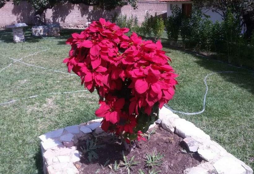 ペンション Pouso Da Soraya