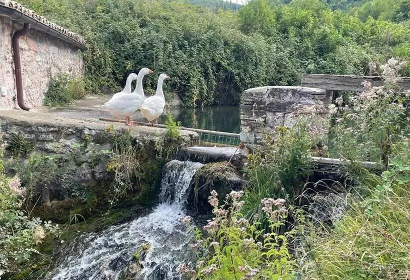 Aamiaismajoitus (B&B) Casale Nella Valle