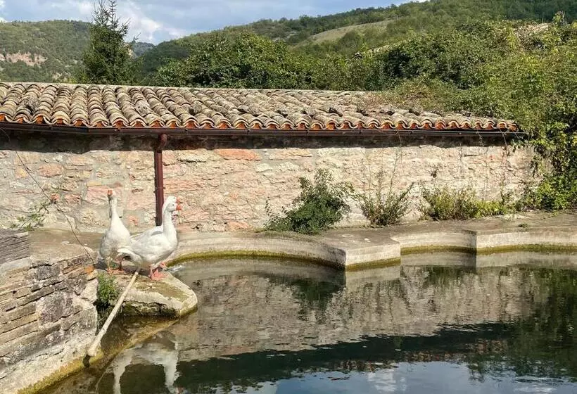 Aamiaismajoitus (B&B) Casale Nella Valle