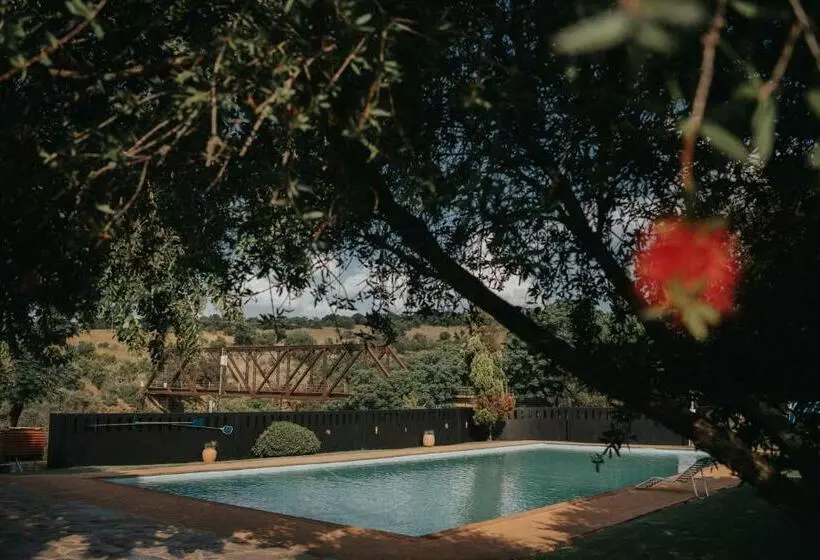 ペンション Pretorius Park