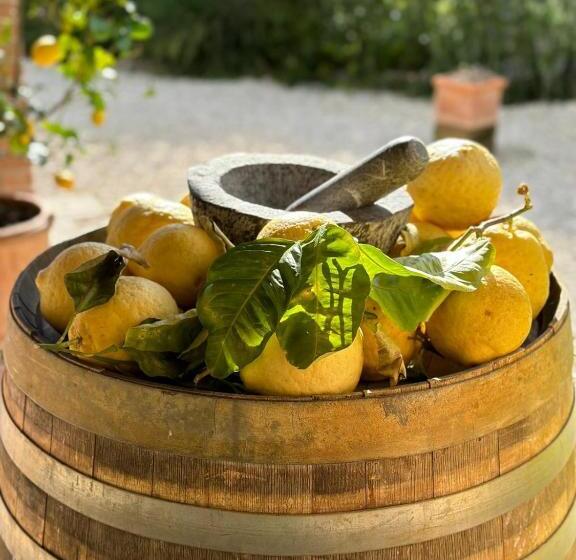 مبيت وإفطار Casale Terre Rosse