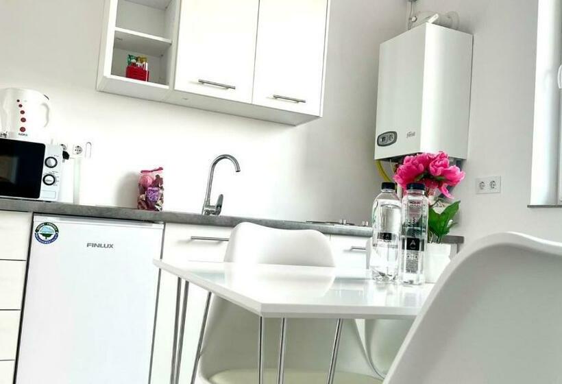 Elvetianul Tobias Apart