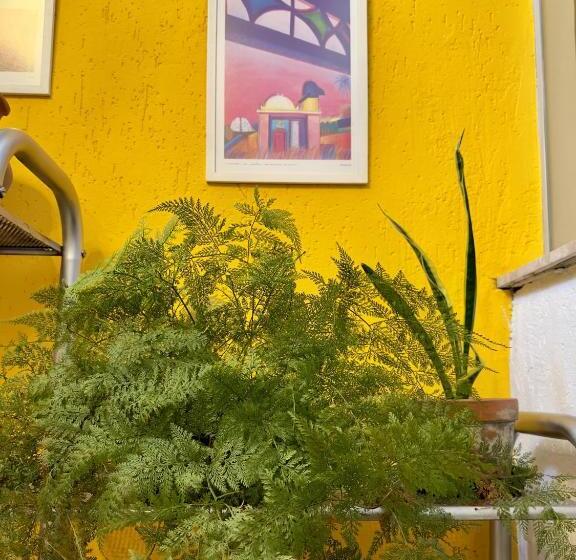 پانسیون Gayfriendly Hostel Bsb Airport