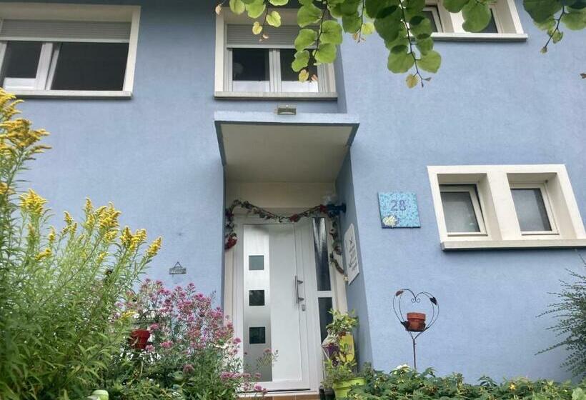 بنسيون La Chambre Plume