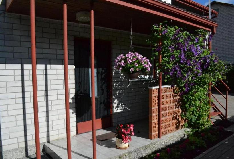 تختخواب و صبحانه Nooruse Majutus